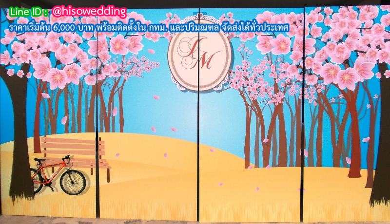 แบ็คดรอป (Backdrop) ฉากถ่ายรูป แบ็คดรอป (Backdrop) ฉากถ่ายรูป