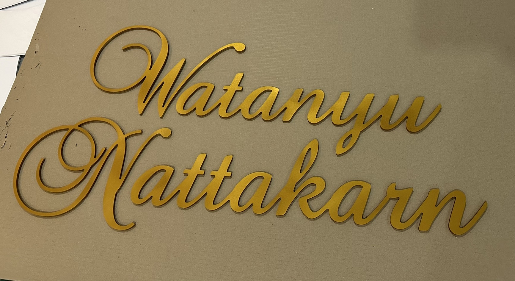 งานพลาสวูด ลงสี งานพลาสวูด ลงสี